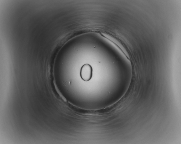 X0000115790693200911201332