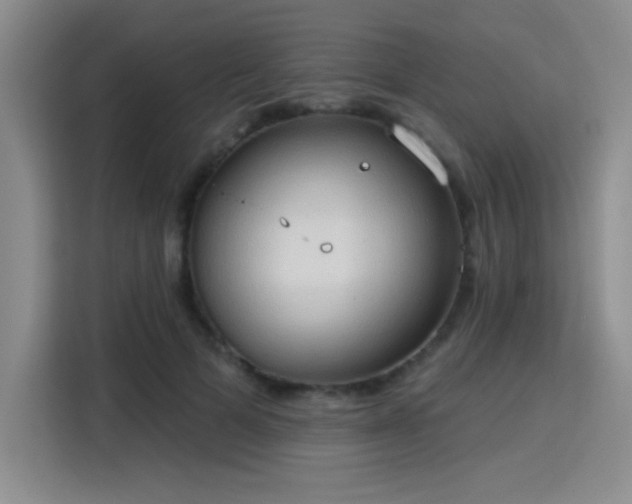 X0000115790697200911201332