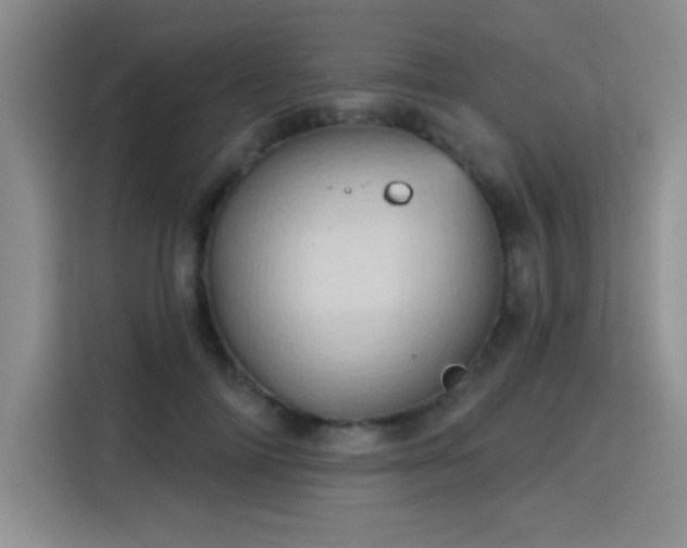 X0000115790698200911201332