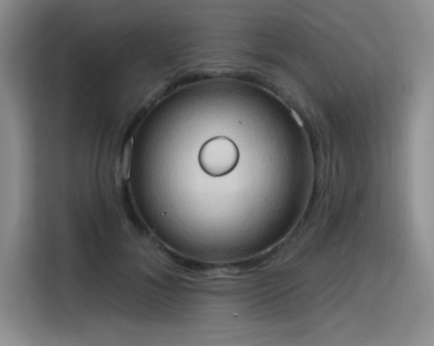 X0000115790700200911201332