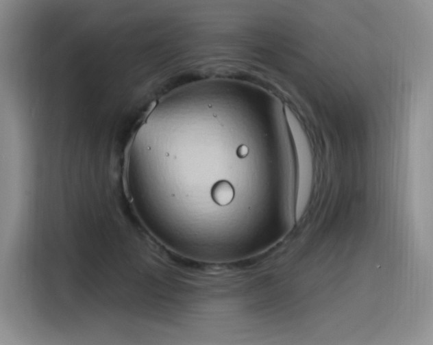 X0000115790701200911201332