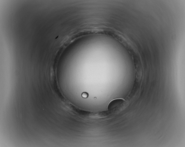 X0000115790704200911201332