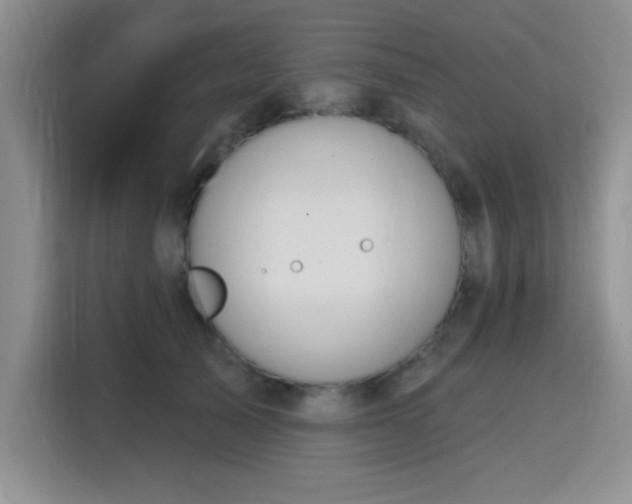 X0000115790705200911201332