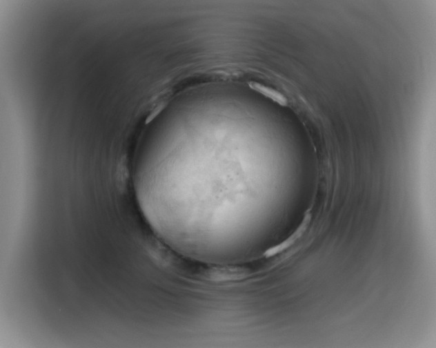 X0000115790707200911201332