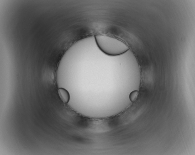 X0000115790709200911201332