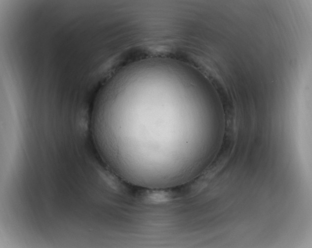 X0000115790710200911201332