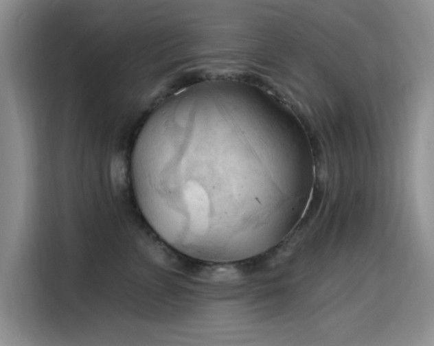 X0000115790715200911201332