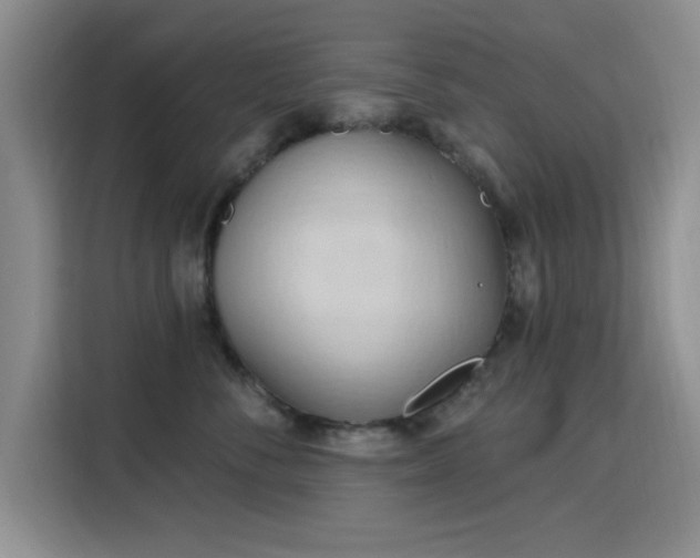 X0000115790716200911201332