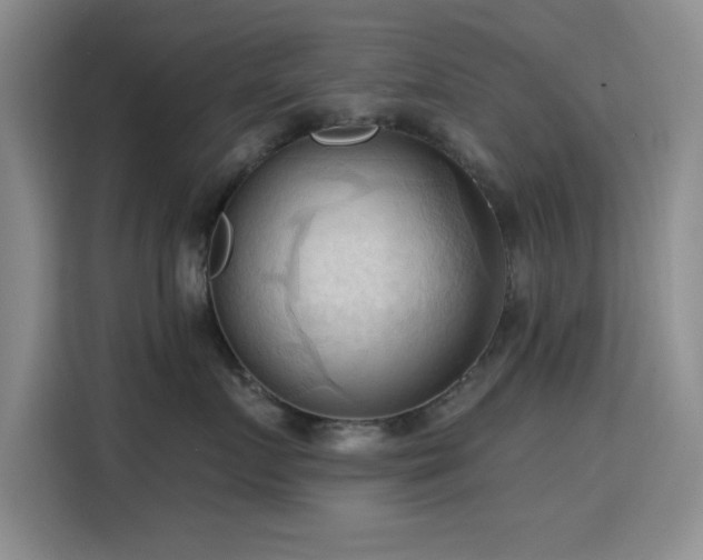 X0000115790719200911201332