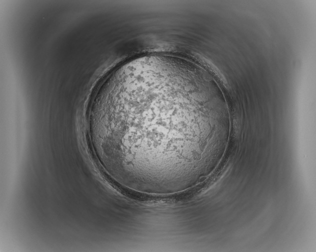 X0000115790721200911201331