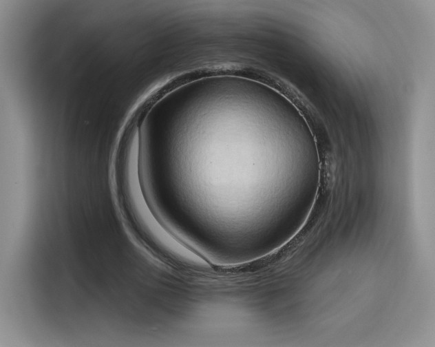 X0000115790726200911201331