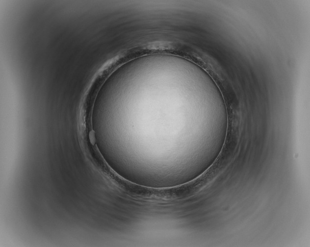 X0000115790727200911201331