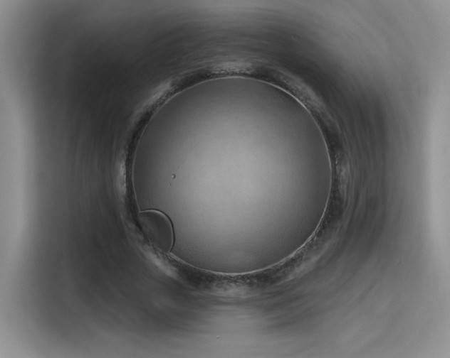 X0000115790729200911201331