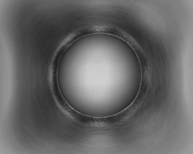 X0000115790730200911201331