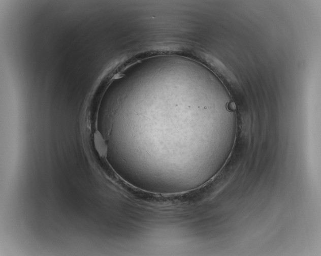 X0000115790731200911201331