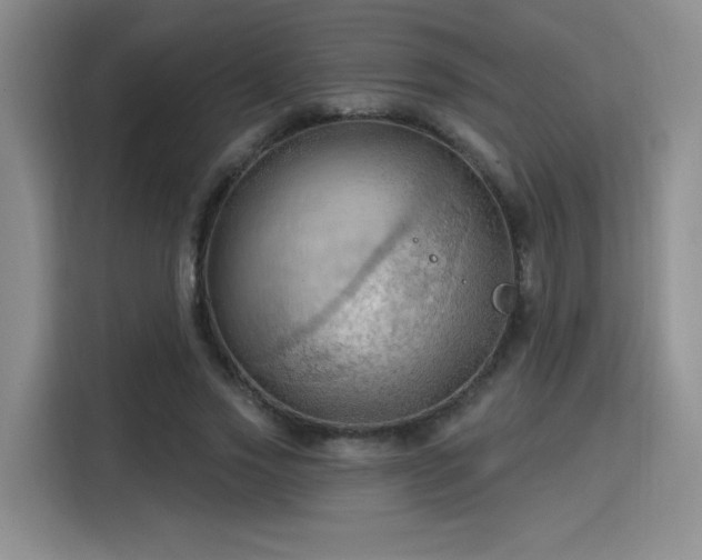 X0000115790733200911201331