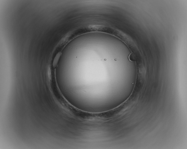 X0000115790734200911201331