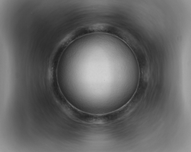 X0000115790735200911201331