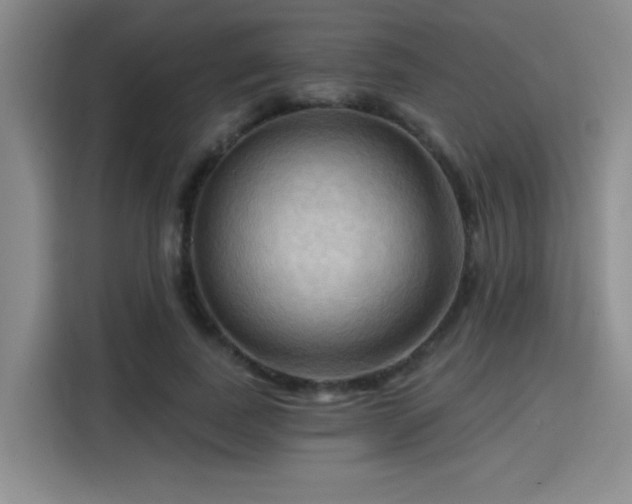 X0000115790739200911201331