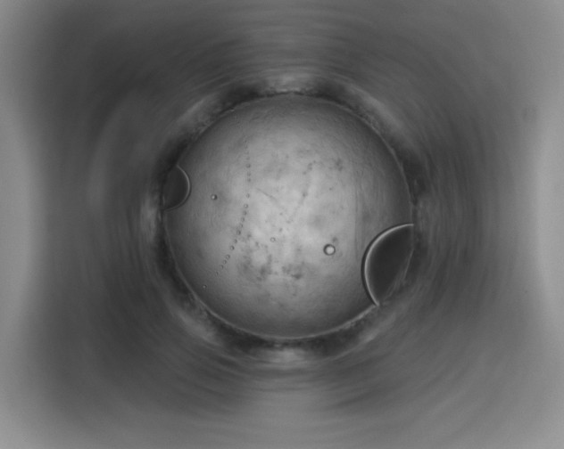 X0000115790741200911201331