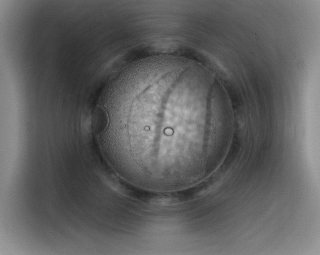 X0000115790745200911201331