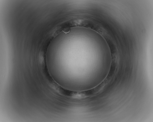 X0000115790754200911201332