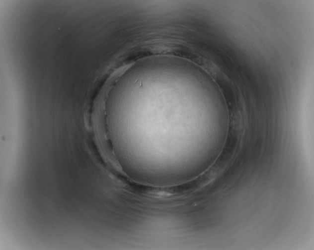 X0000115790755200911201332