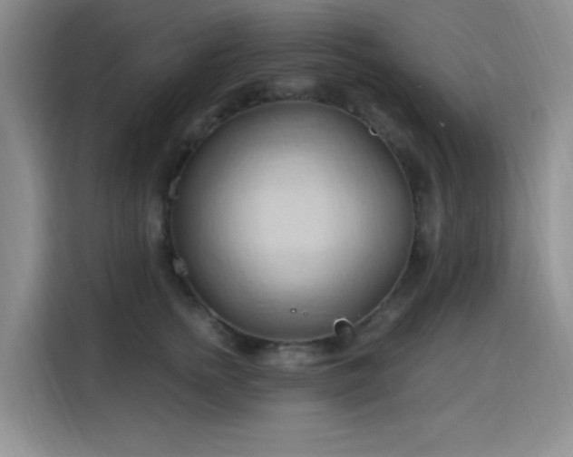 X0000115790758200911201332