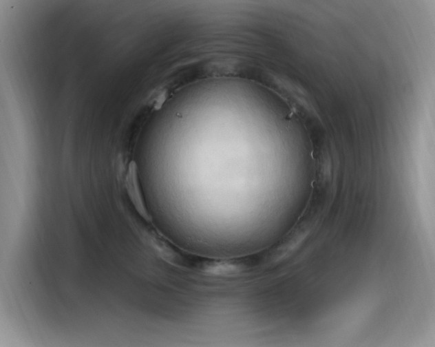 X0000115790759200911201332