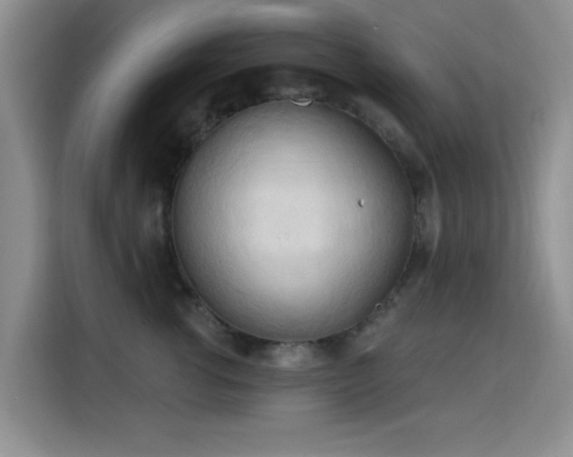 X0000115790762200911201332