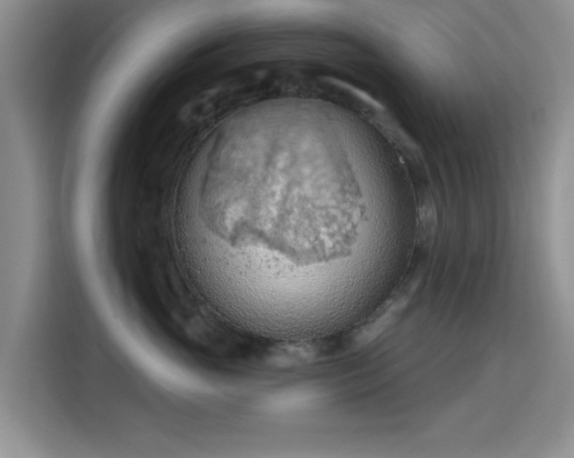 X0000115790765200911201332