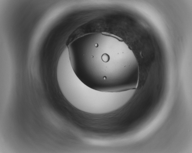 X0000115790766200911201332