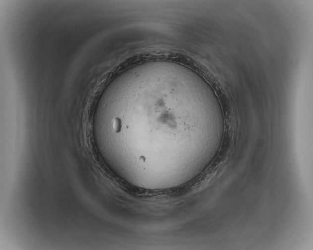 X0000115790769200911201331