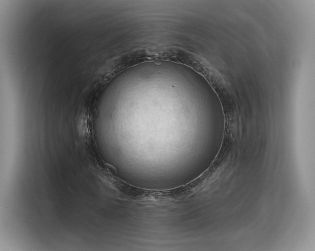 X0000115790770200911201331