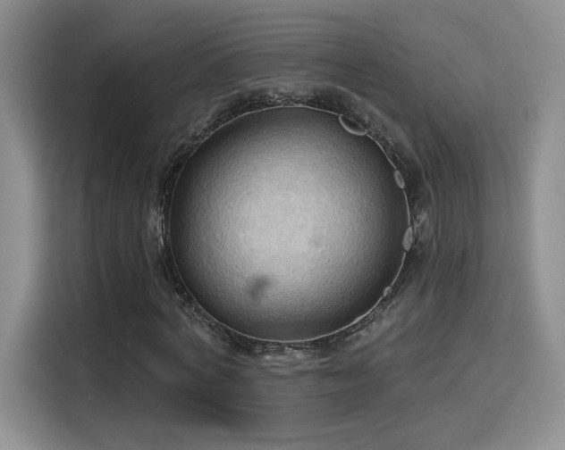 X0000115790772200911201331