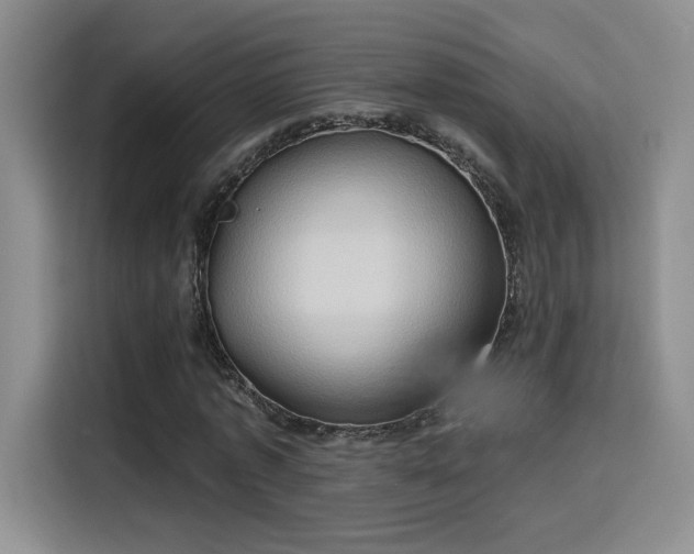 X0000115790773200911201331