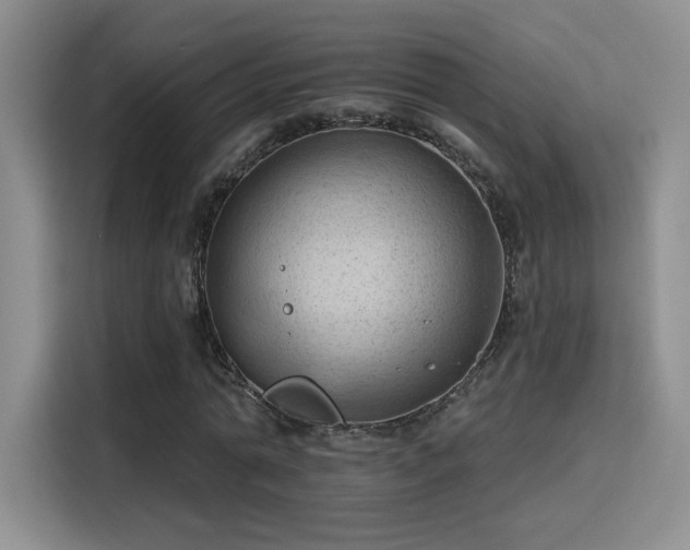 X0000115790774200911201331