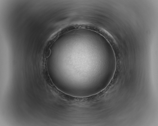 X0000115790775200911201331