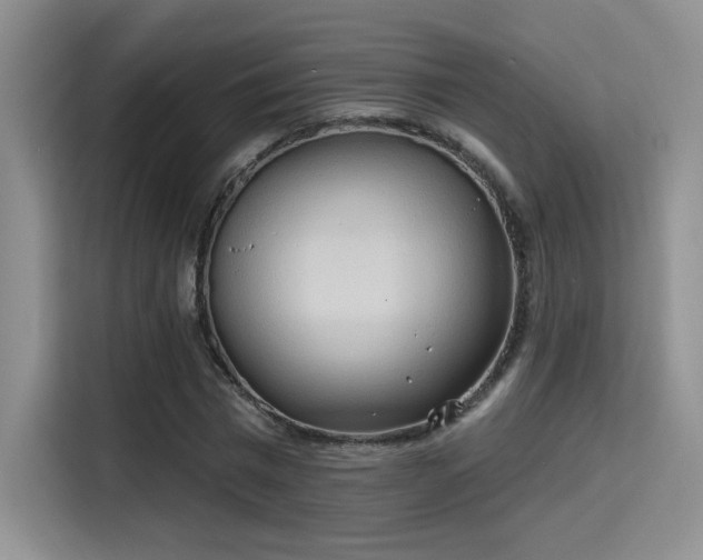 X0000115790777200911201331