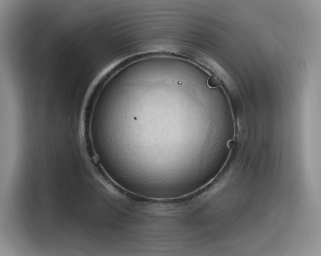 X0000115790780200911201331