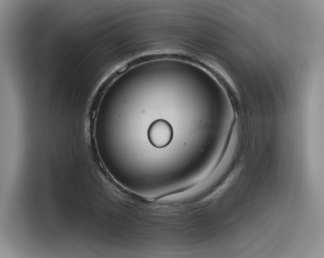 X0000115790781200911201331