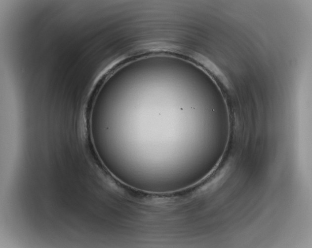 X0000115790782200911201331