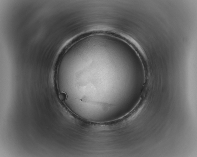 X0000115790783200911201331