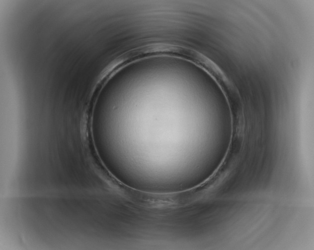 X0000115790786200911201331