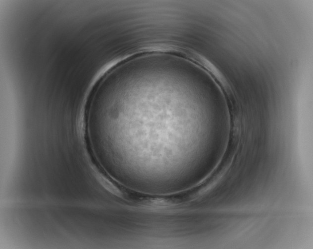 X0000115790787200911201331