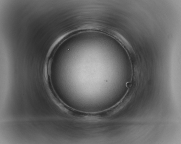 X0000115790788200911201331