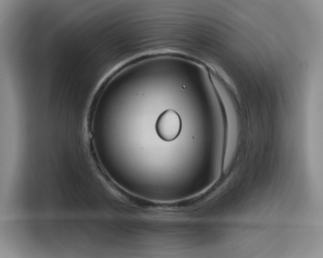 X0000115790789200911201331