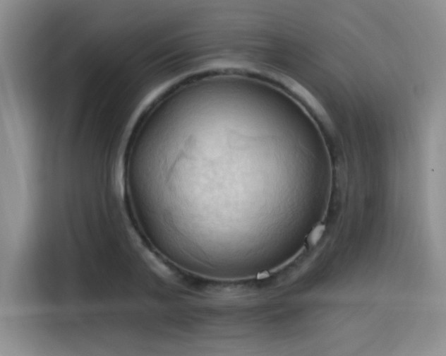 X0000115790791200911201331