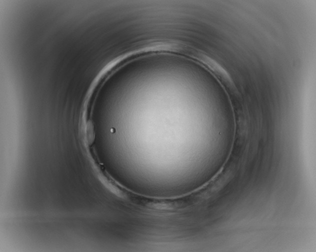 X0000115790792200911201331