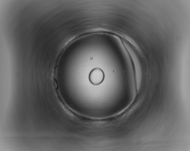 X0000115790793200911201331